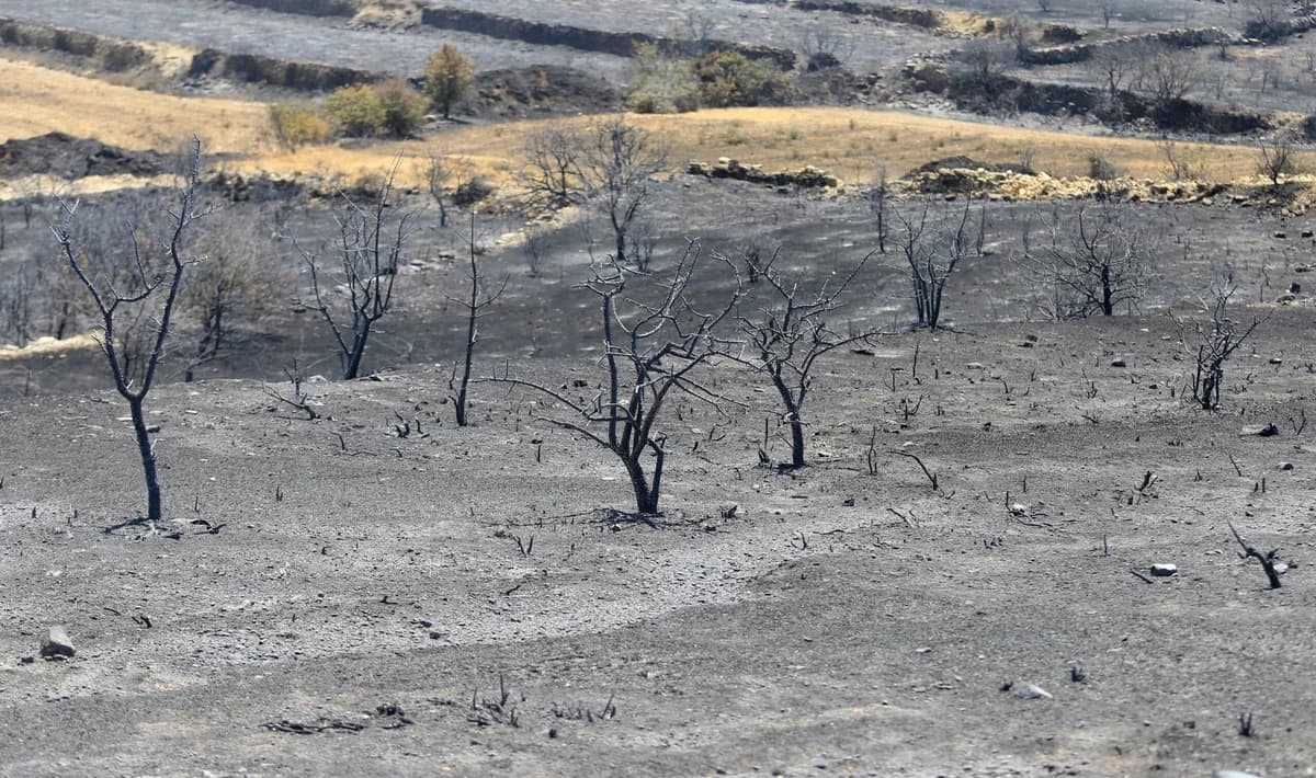 Fire Chief: Water Tankers and Hydrants Were Available in Vouni