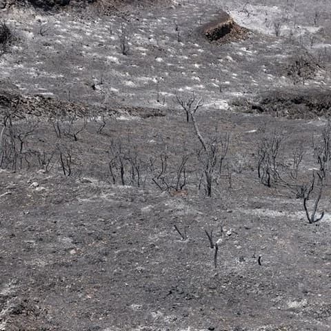 El suministro de agua vuelve a la normalidad en las zonas afectadas por el fuego en Limassol