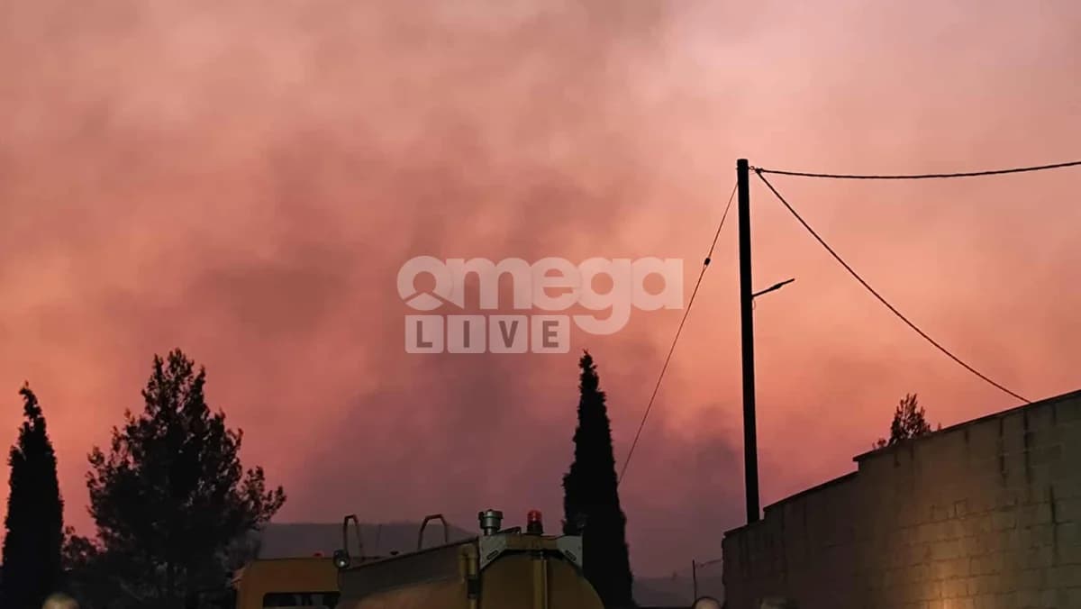 Director del Departamento Forestal Impactado: "Fue un Incendio Fantasma... Hasta 1200 Grados Celsius"