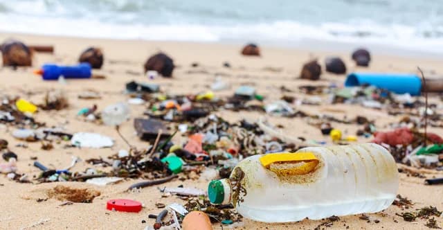 WWF: This is the dirtiest beach in Greece