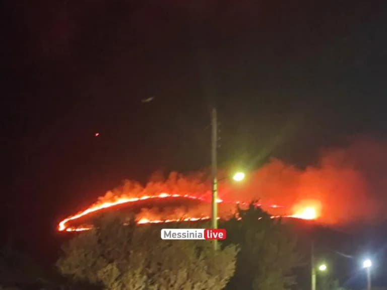 Fire in Messinia: Farmland and Forest Area Burning in Metamorfosi