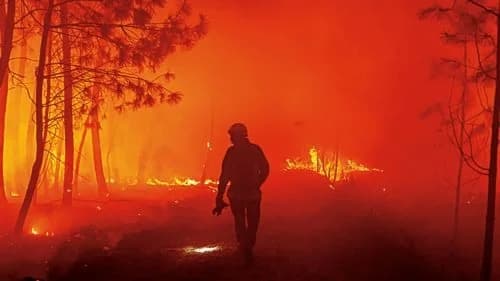 Εμπρησμός: Ψυχολογικά κίνητρα και ποινικές ευθύνες