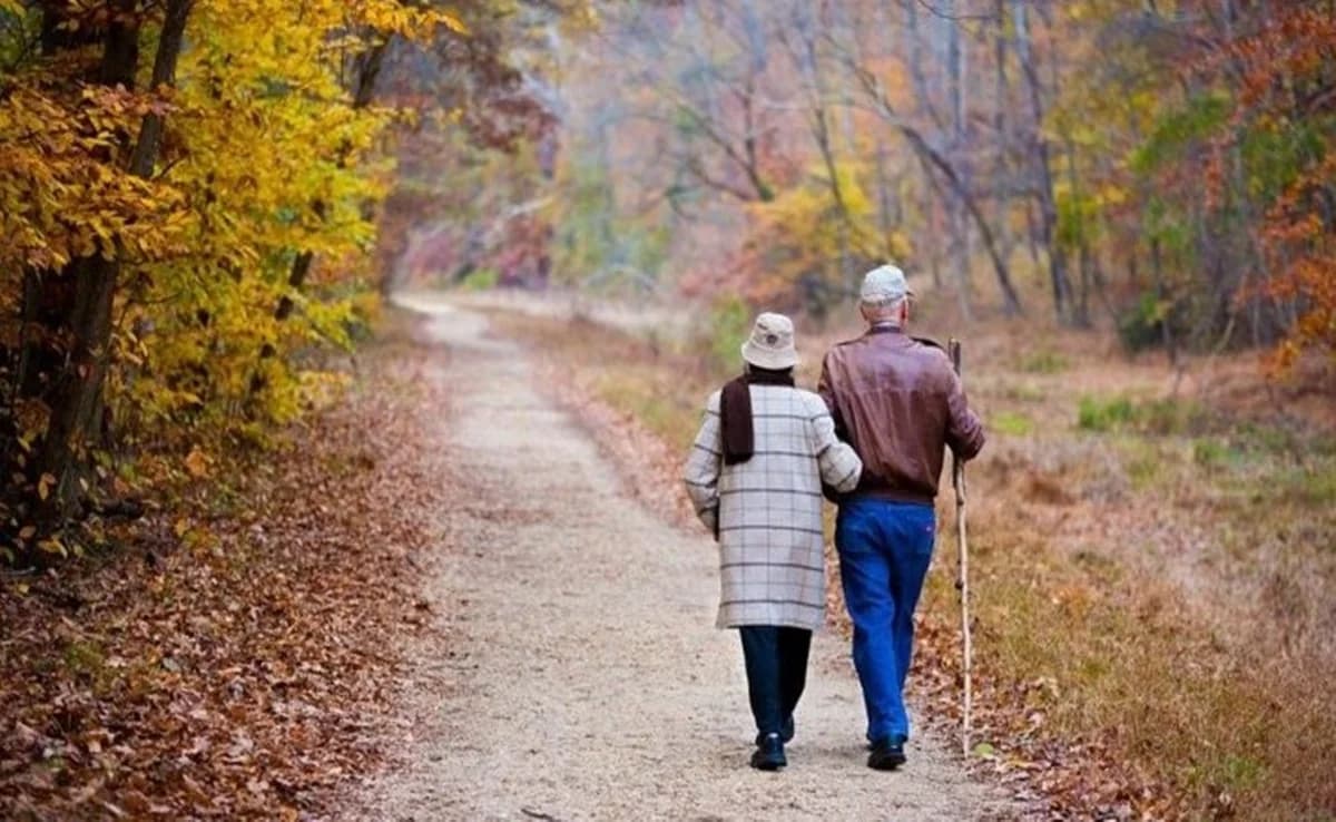 Harvard: Gratitude Linked to Longer Lifespan