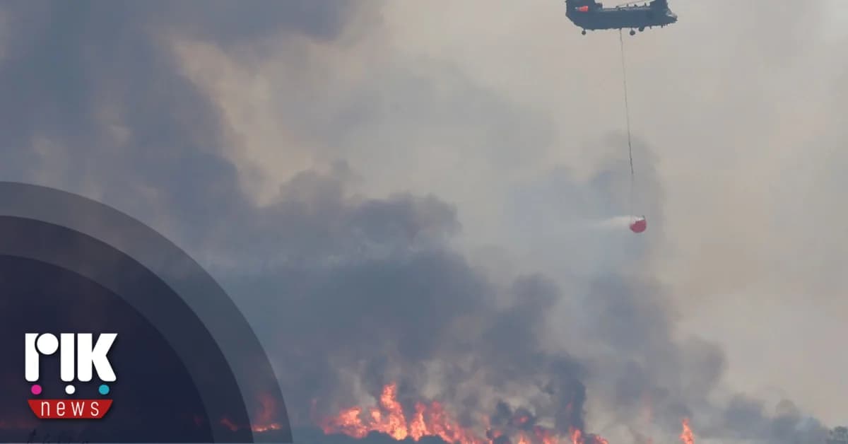 שריפות בלימסול: 4,353 חלקות אדמה נהרסו, פיצוי מיידי