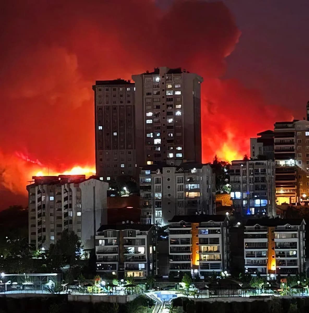 Turquía: Ex militar confiesa incendio provocado en bosque de Bursa