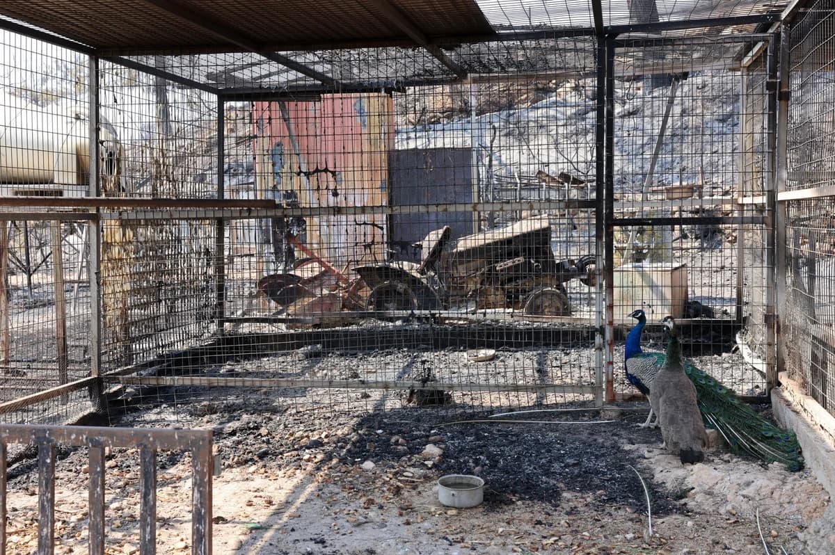 ΑΗΚ: Χρονοβόρα η αποκατάσταση ηλεκτροδότησης στη Λεμεσό μετά την πυρκαγιά