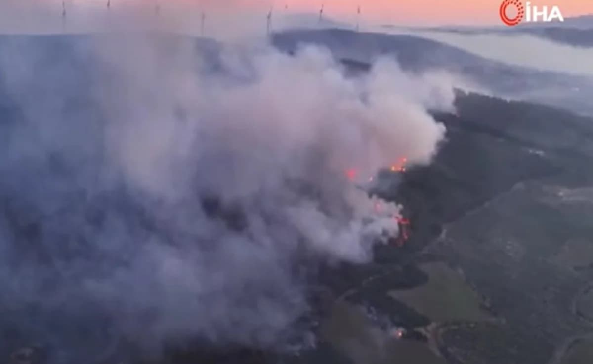 Türkei: Ehemaliger Militäroffizier gesteht Brandstiftung im Wald von Bursa