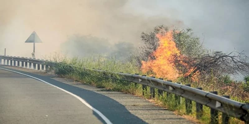 Δρούσεια Πάφου: Υπό μερικό έλεγχο η πυρκαγιά