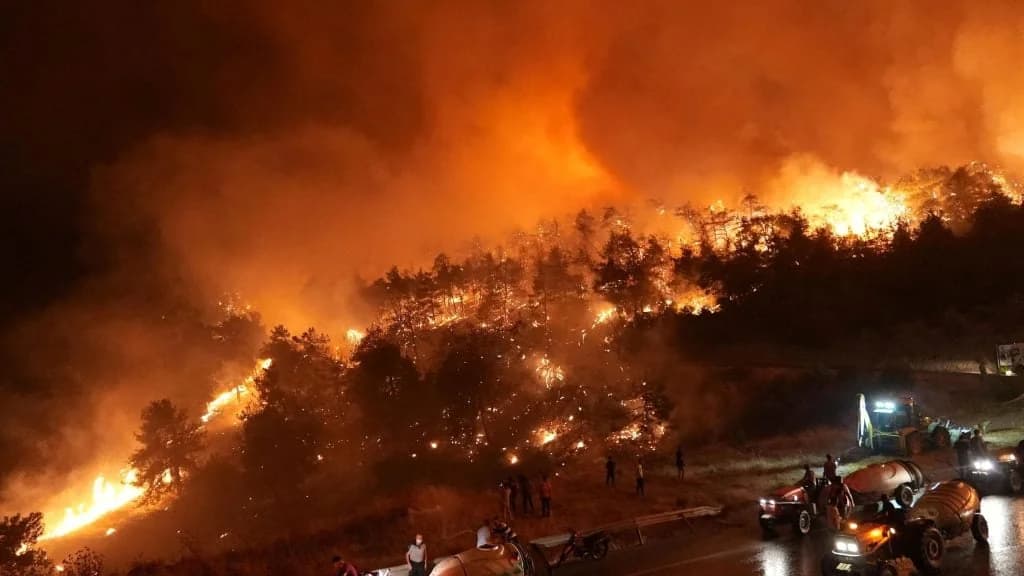 Türkei: Ehemaliger Offizier soll Wald in Bursa in Brand gesteckt haben