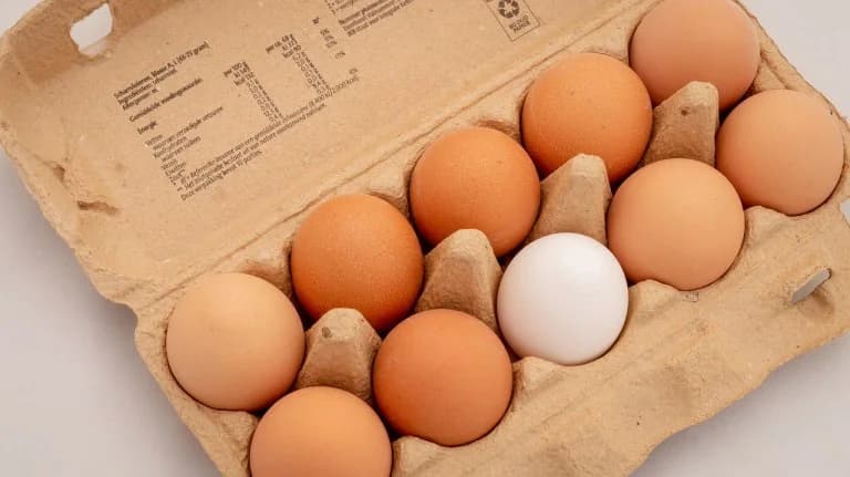Studie: Eier erhöhen nicht das 'schlechte' Cholesterin