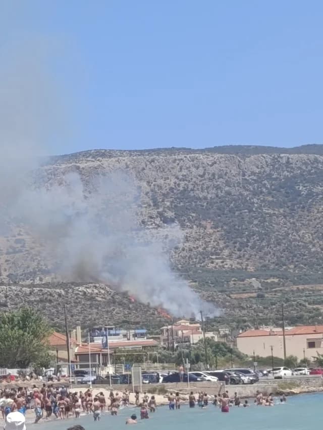 Feuer in niedriger Vegetation in Plytra, Lakonien