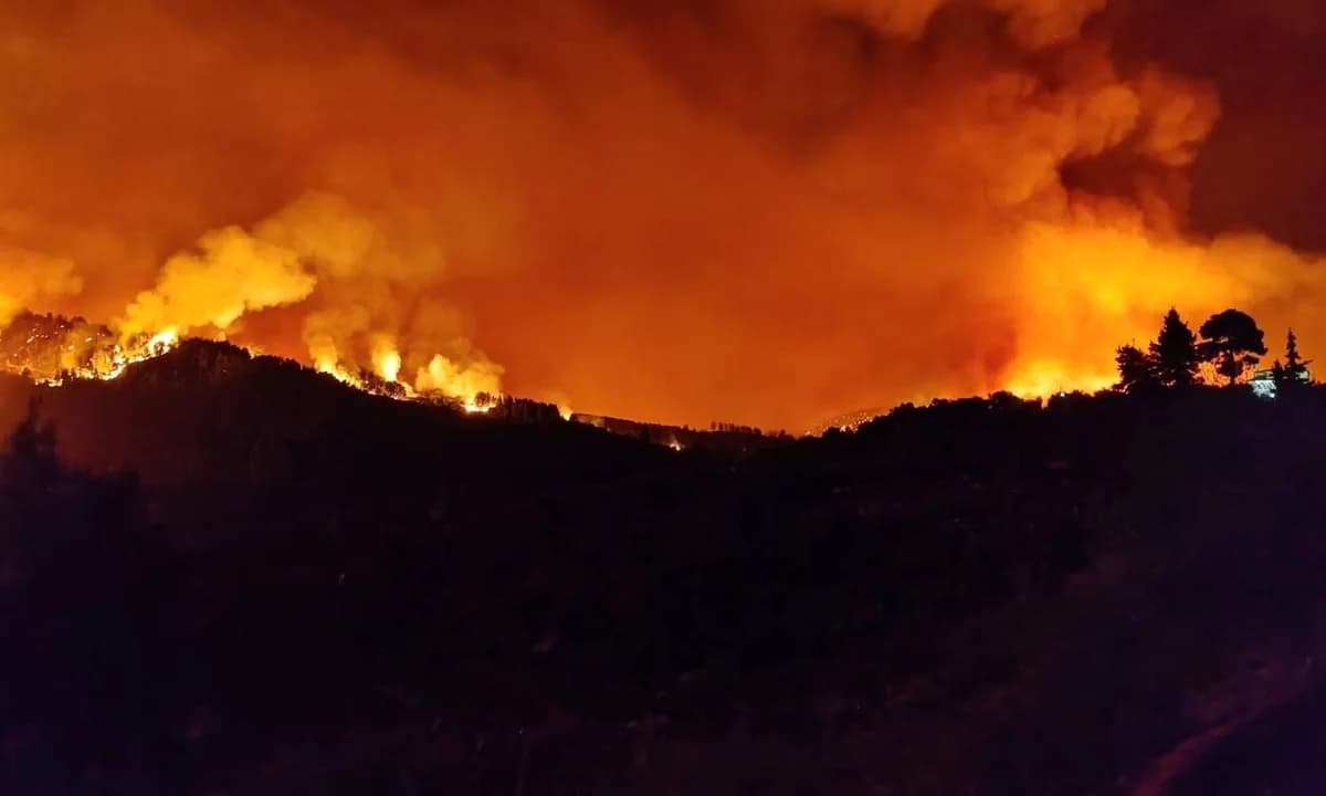 Türkei: Ex-Soldat gesteht Brandstiftung in Bursa-Wald