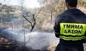 Limassol: Testimonio de bombero sobre incendios en zonas residenciales