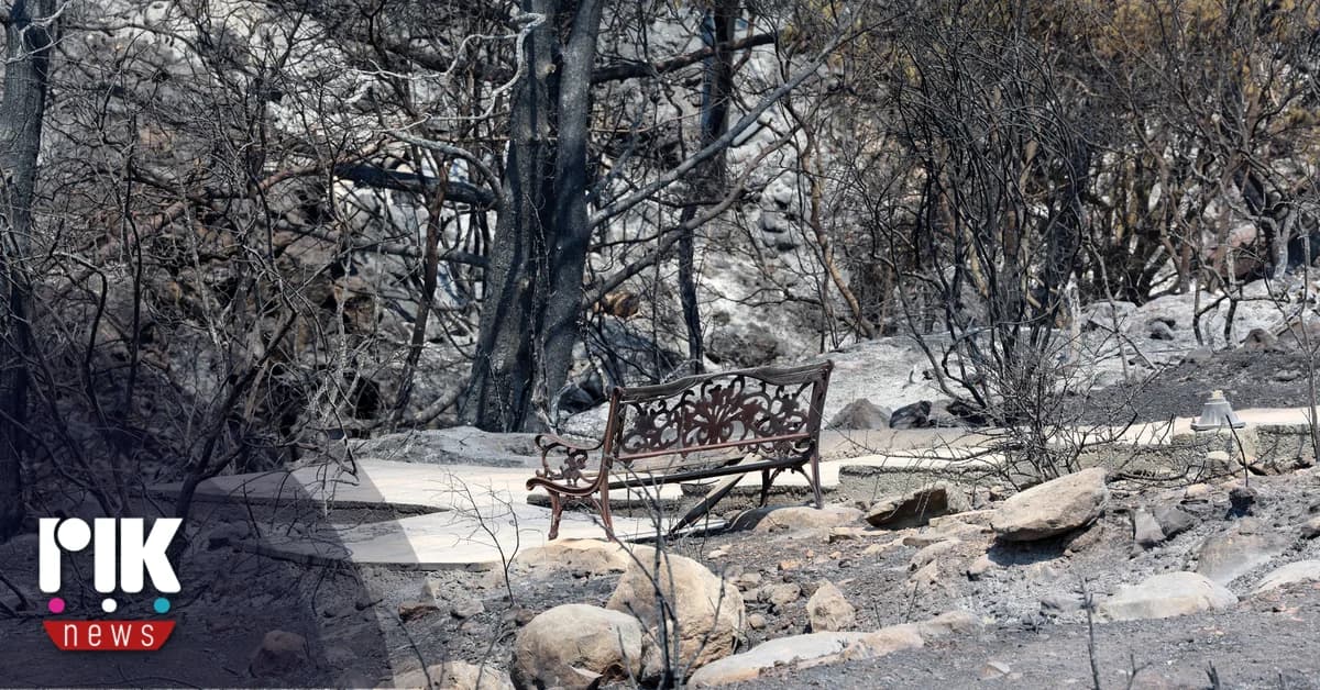 Limassol Fire: Victims Identified as Dimitris and Maro Filippidis