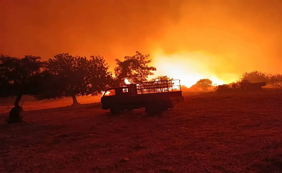 Incendio en Limassol: Daños extensos a tierras agrícolas y viñedos