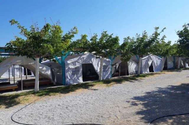 חאניה: רופא נעצר בחשד למעשה מגונה בקטינה במחנה קיץ