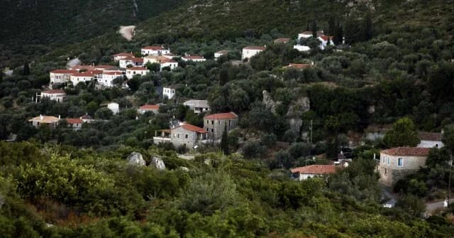 פלישות לנכסי ציבור: תגובה נמוכה למרות הנחות