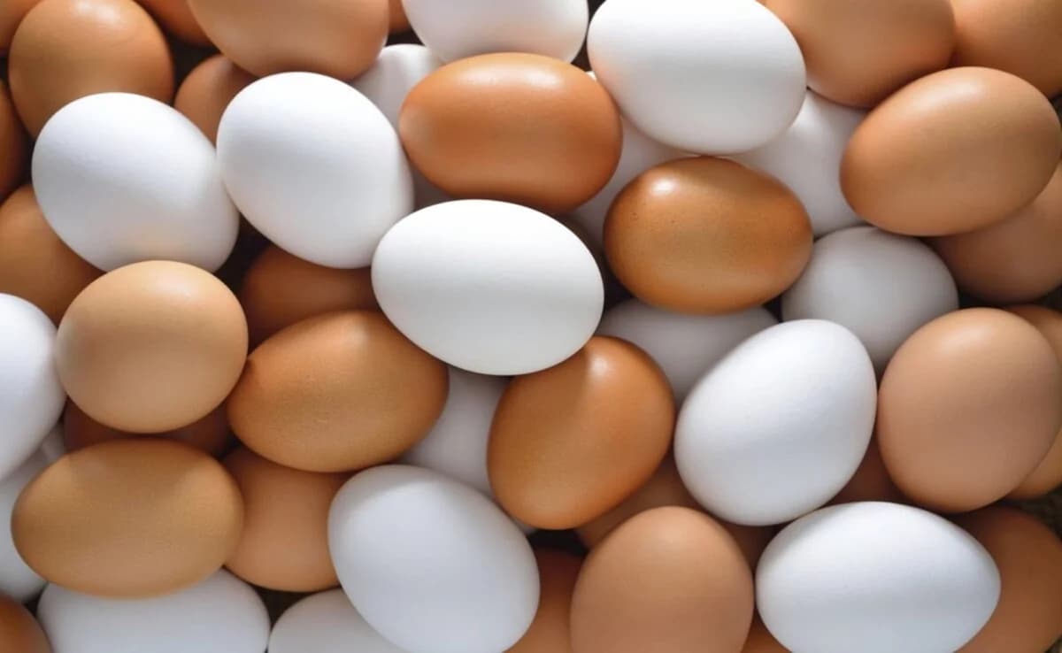 Studie: Eier erhöhen nicht das 'schlechte' Cholesterin