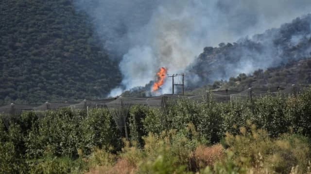 Λάρισα: Υπό έλεγχο η φωτιά στην Αγιά, αυξημένη επιφυλακή