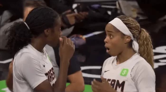 Зритель бросил вибратор на площадку WNBA: шок и возмущение