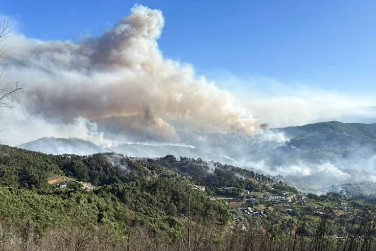 Πορτογαλία: Σε συναγερμό για δασικές πυρκαγιές – Υψηλές θερμοκρασίες