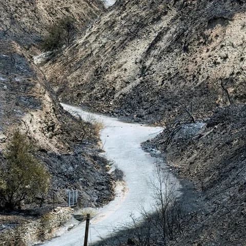 Υπουργικό: Επιδότηση τριών μισθών σε εργαζόμενους που επλήγησαν από τις πυρκαγιές στη Λεμεσό