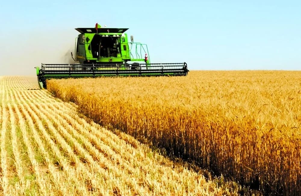Higher Advances for Farmers from the CAP