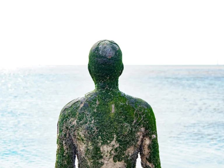 欧洲哪里有最干净的游泳水域？