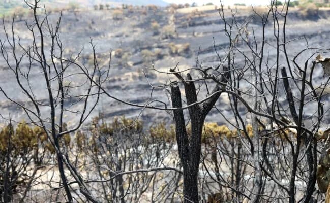 Erik Kitas: Vorwürfe der Fahrlässigkeit während des Souni-Brandes