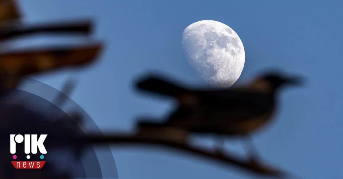 Pronóstico del tiempo: Cielos despejados con nubes locales - 31/07/25