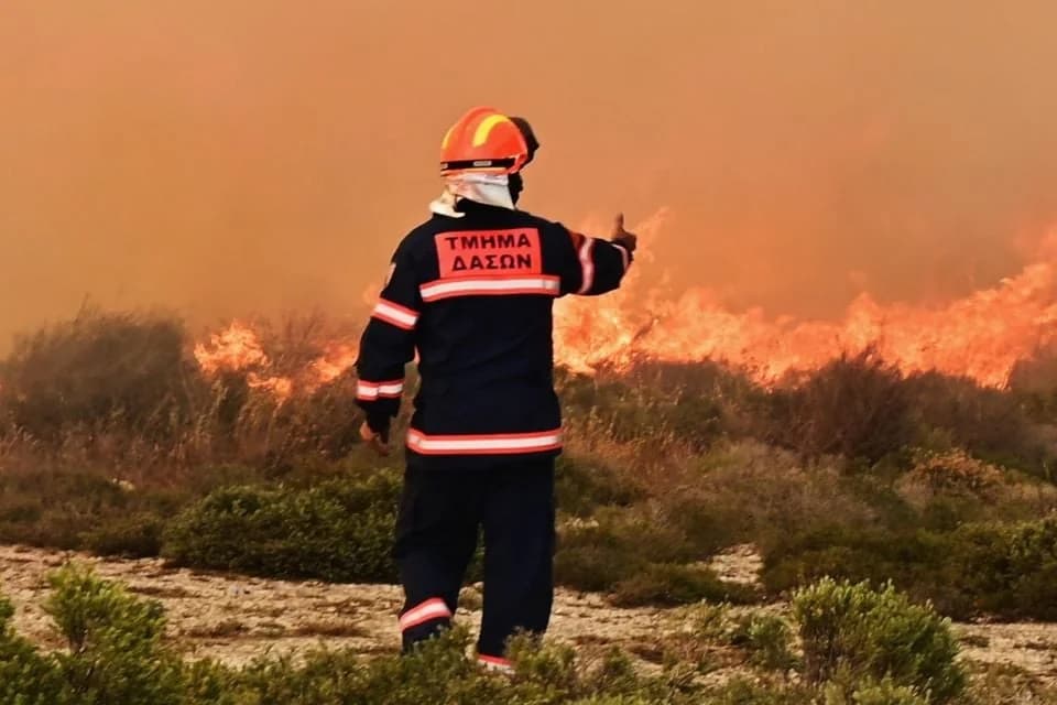 Forstamt Zypern: Einstellung von festangestellten Feuerwehrleuten – Voraussetzungen