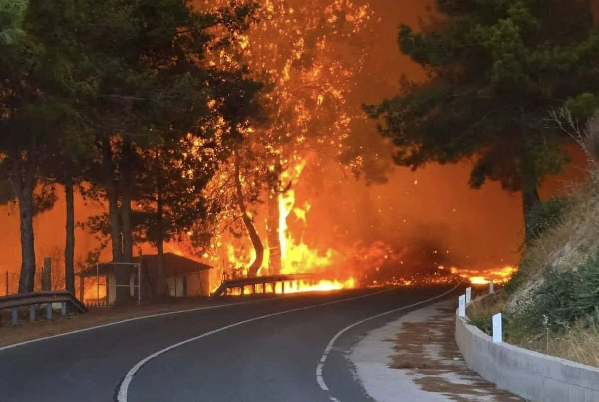 Limassol Fire: Natura Areas Destroyed – Ecological Disaster