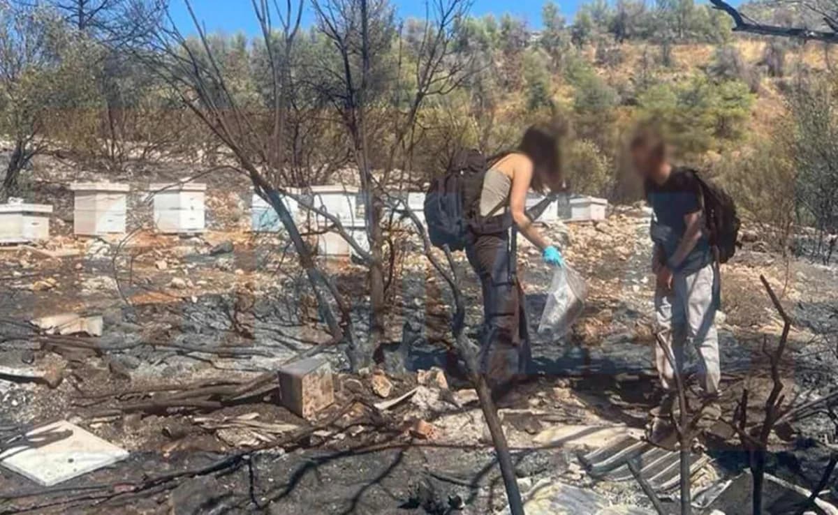 Φωτιά στον Υμηττό: Από αδήλωτα μελίσσια ξεκίνησε η πυρκαγιά