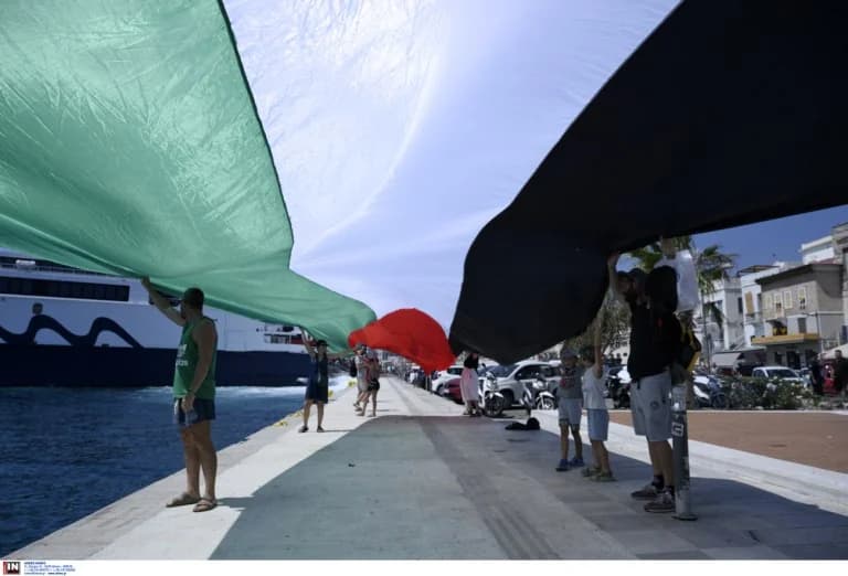 对声援巴勒斯坦的批评：反应与政治影响
