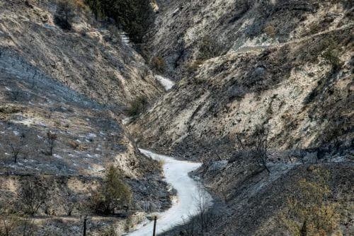 Berichte über tödliches Feuer beim Präsidenten eingereicht – „Veröffentlichung so bald wie möglich“