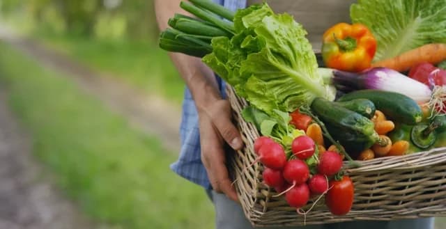 Штрафы для компаний по сертификации органической продукции