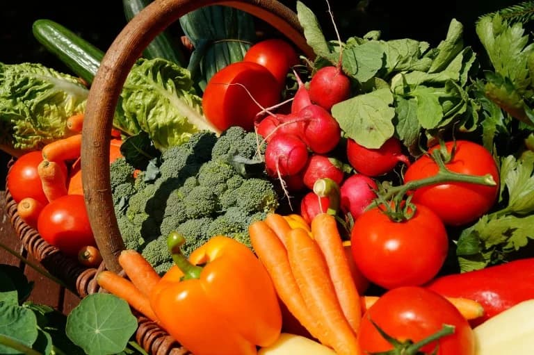 Первые штрафы для компаний, сертифицирующих органические продукты