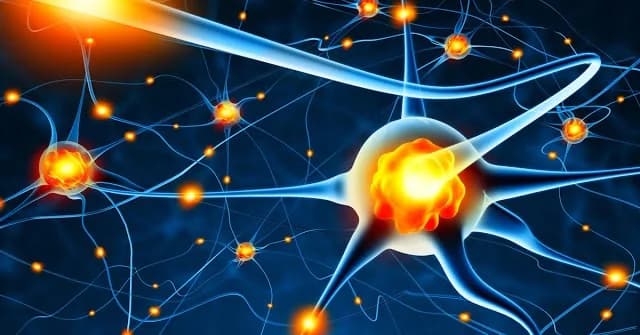 Innovative Methode zur Krebsbildgebung und -behandlung in den USA