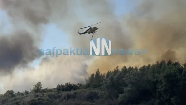 Feuer in Kokori, Ätolien-Akarnanien: Evakuierungsbefehl über 112
