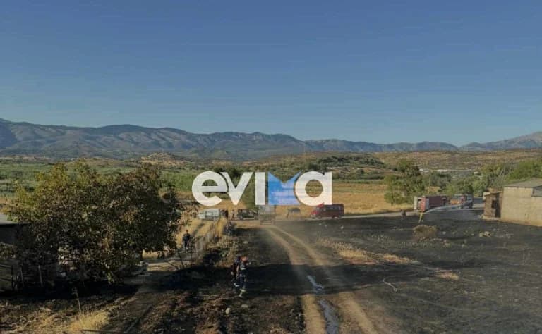 Eubea: Un bombero voluntario herido durante la extinción de un incendio