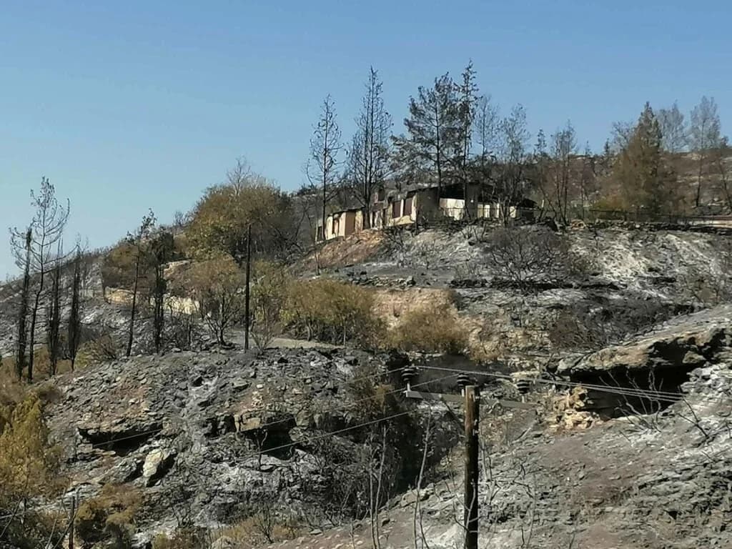 לוחמת אש קוראת לכבוד לאחר השריפות בלימסול