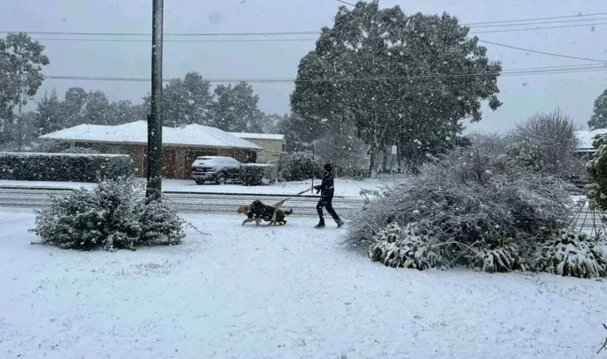 Rare Snowfall Covers Eastern Australia – Floods and Power Outages