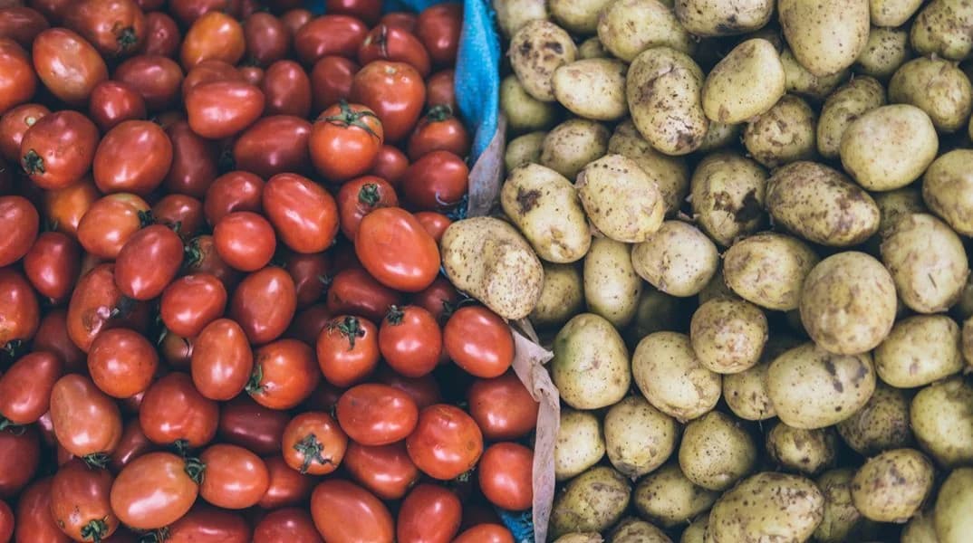 Potato Origins: From Tomato to Tuber in the Andes – New Study