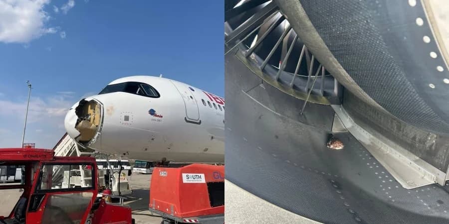 Самолет Iberia совершил экстренную посадку в Мадриде после столкновения с птицей