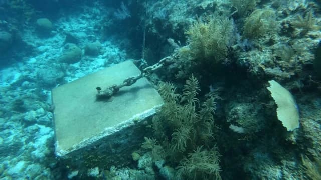 古巴水下“失落之城”：6000年的神话还是现实？