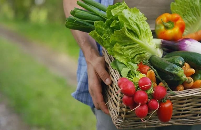 Sechsmonatige Aussetzung der Lizenz für ein Zertifizierungsunternehmen für Bio-Produkte