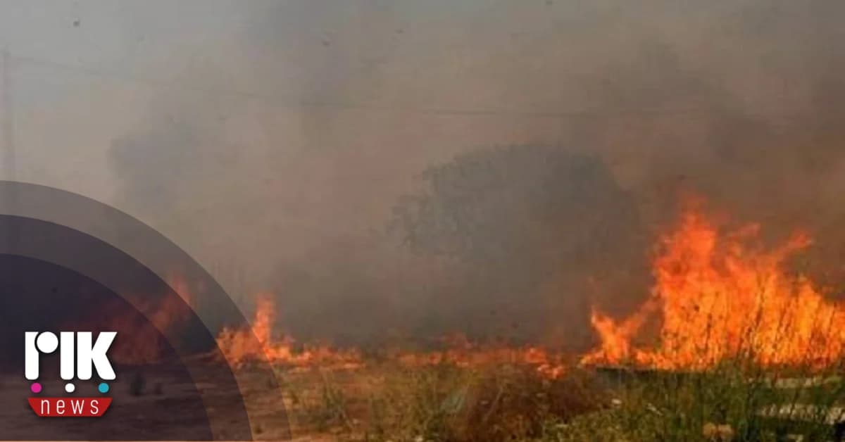 US Experts: Fire in Limassol Was a Criminal Act