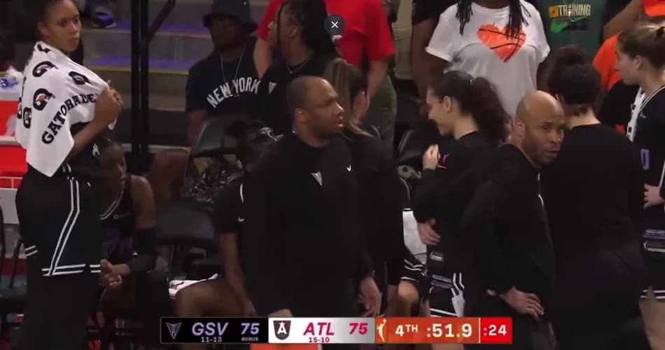 Болельщик арестован за бросок секс-игрушки на матче WNBA