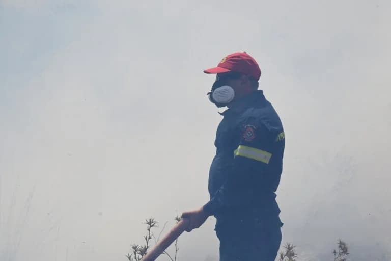 שריפה באורסטיאדה: שטח חקלאי ויער עולה באש באזור אמובונו