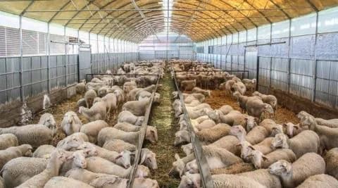 Βουλή: «Πράσινο» στην αναπομπή για κτηνοτροφικές περιοχές